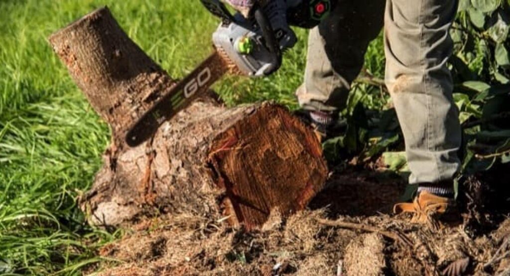 Ferret Élagage 33 : entreprise d'élagage et d'abattage intervenant au Cap-Ferret et à Gujan